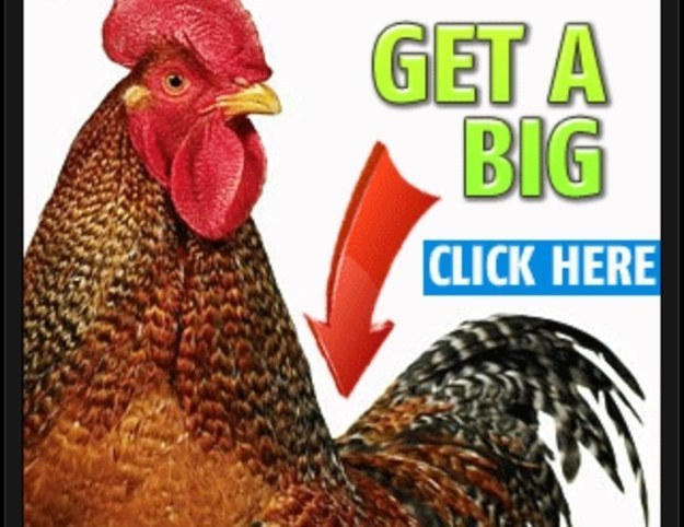 Porn Ads Get a Big Cock