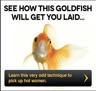 Porn ads how goldfish get you laid